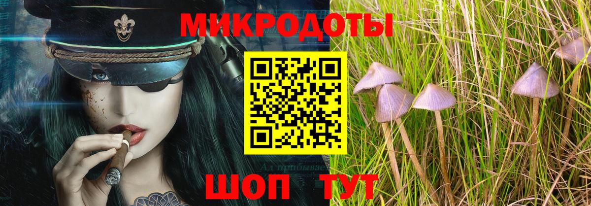 Тамбов  закладка  Вход с VPN  Псилоцибиновые грибы MAGIC MUSHROOMS  Галлюциногенные грибы Psilocybine cubensis 